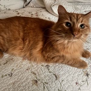 Meet your Posher, Leah